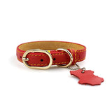 red golden matel Arnés para Mascotas by malltor sold by malltor