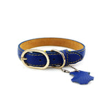 navy golden matel Arnés para Mascotas by malltor sold by malltor